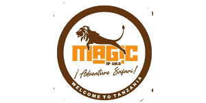 Magic of Wild Logo