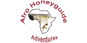 Afro Honeyguide Adventures