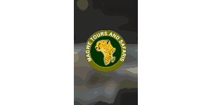 Magwe Tours and Safaris logo