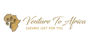 Venture To Africa Logo