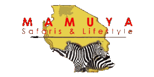 Mamuya Safaris & Lifestyle
