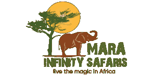Mara Infinity Safaris