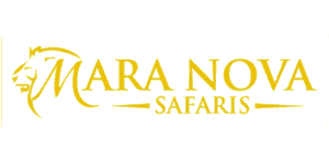 Mara Nova Safaris Logo