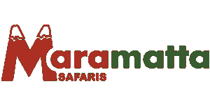 Maramatta Safaris Logo
