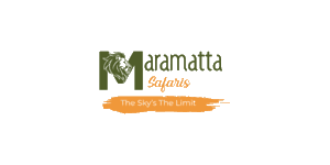Maramatta Safaris
