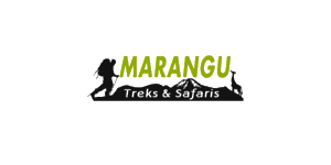 Marangu Treks & Safaris
