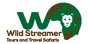 Wild Streamer Tours & Travel Safaris Logo