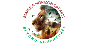 Marula Horizon Safaris 