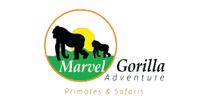 Marvel Gorilla Adventure Logo