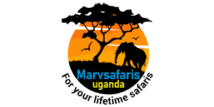 Marv safaris Uganda Logo