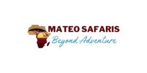 Mateo Travel and Adventure Logo