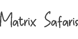 Matrix Safari Logo