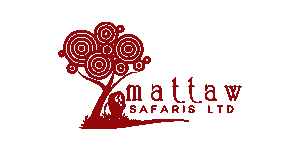 Mattaw Safaris 