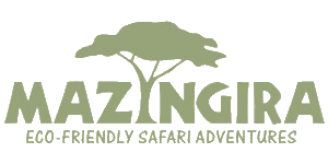 Mazingira logo