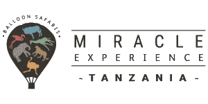 Miracle Experience Logo