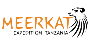 Meerkat Expedition Safari Logo