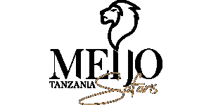 Meijo Safaris logo