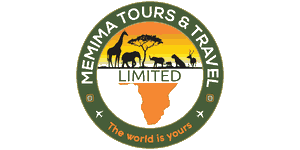 Memima Tours and Travel Logo
