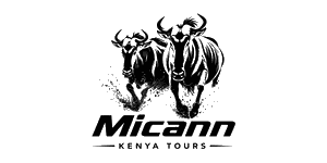 Micann Kenya Tours and Safaris  Logo