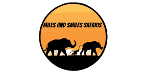 Miles and Smiles Safaris Logo