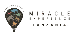 Miracle Experience