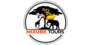 Mizube Tours and Travel 