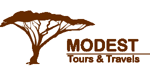 Modest Human Resource Tours & Travels Logo