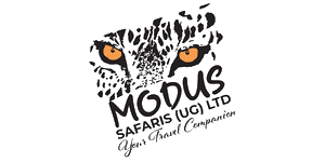 Modus Safaris Logo