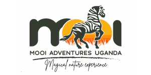 Mooi Adventures Uganda Mooi Adventures Uganda