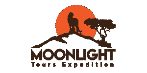 M T Expedition Logo