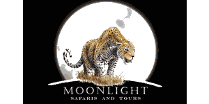 Moonlight Safaris logo