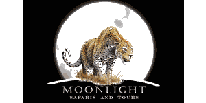 Moonlight Safaris Logo