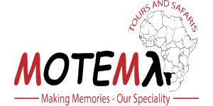 Motema Tours And Safaris Namibia Logo