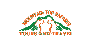 Mountain Top Safaris Logo