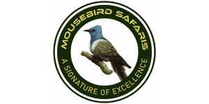 Mousebird Safaris