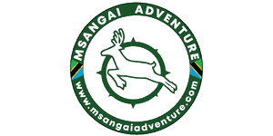 Msangai Adventure Safaris Logo