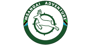 Msangai Adventure Safaris Logo