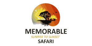 Memorable Sunrise to Sunset Safari