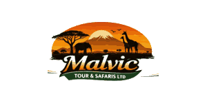 Malvic Tour and Safaris  Logo
