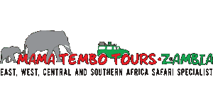 Mama Tembo Tours Zambia  logo