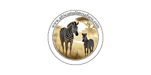 Africa Mulimi Safari Company  Logo