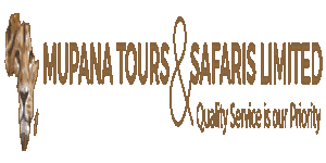 Mupana Tours & Safaris