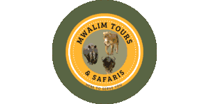 Mwalim Tours and Safaris Logo