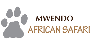 Mwendo African Safari