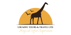 Ubumwe Tours and Travel Logo