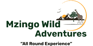 Mzingo Wild Adventures Logo