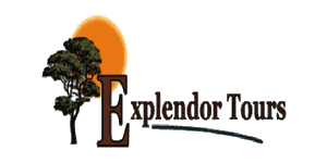 Explendor Tours