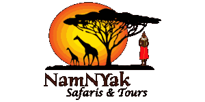 Namnyak Tours and Safaris Logo