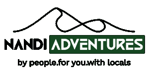 Nandi Adventures Logo