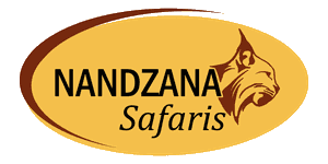 Nandzana Safaris